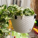 Саксия Ratolla висящa Ф24 бяла