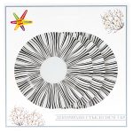 Чиния за десерт 3 броя стъкло Черно и бяло