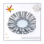 Чиния 3 броя стъкло Черно и бяло - Image 3