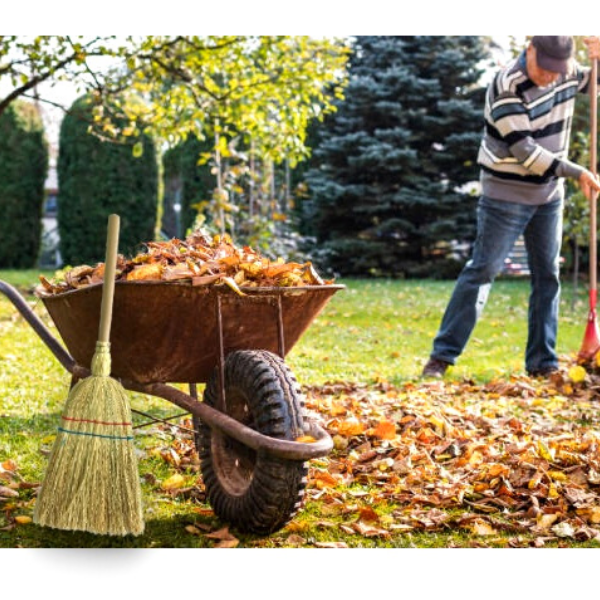 Метла с два шева и къса дървена дръжка