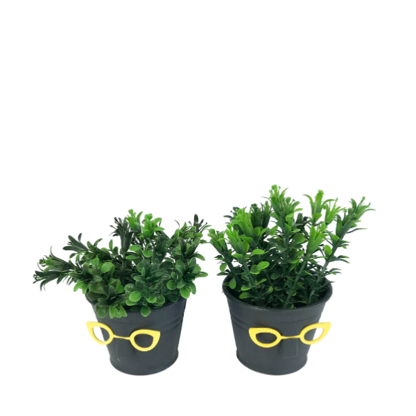 Икебана Очила