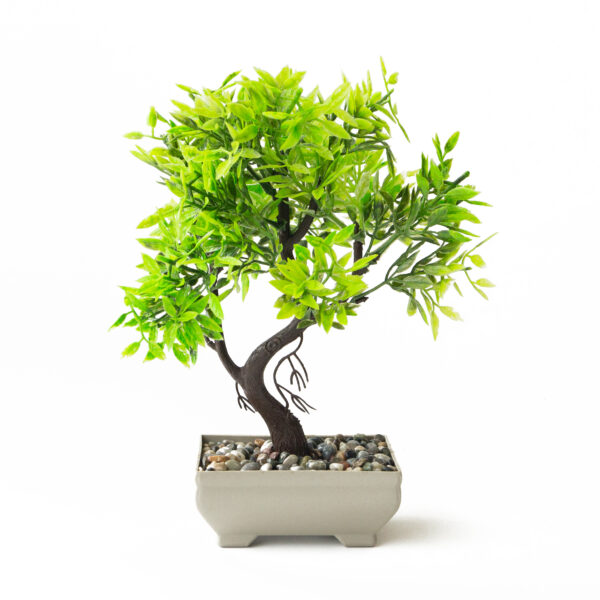 Икебана Бонсай