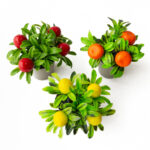 Икебана мини бонсай с плодове