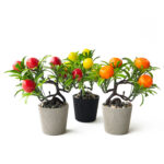 Икебана бонсай с плодове