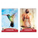 Скицник спирала картон 20л.