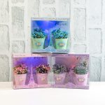 Икебана в кутия 2 броя с Айфелова кула