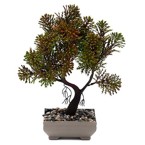 И107617 Икебана бонсай 18/24 см