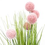 Изкуствено цвете 42 см краспедия розово