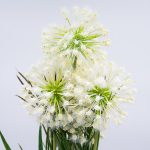 Изкуствено цвете 51 см глухарче бяло