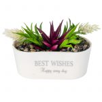 Икебана Сукулентни  в кашпа  16/13 см - Image 2