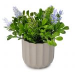 Икебана флоралис 15/18 см - Image 3