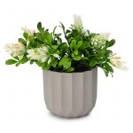 Икебана флоралис 15/18 см - Image 2