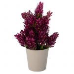 Икебана пролетно цвете  12/18 см - Image 2