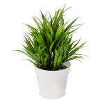 Икебана зелено растение 15/19 см - Image 2