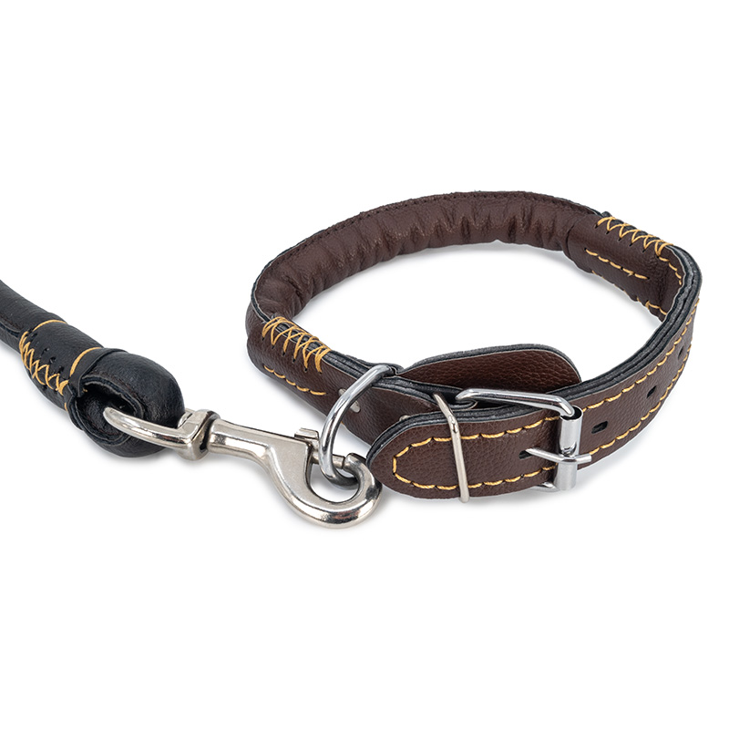 И02-18352 web2 повод