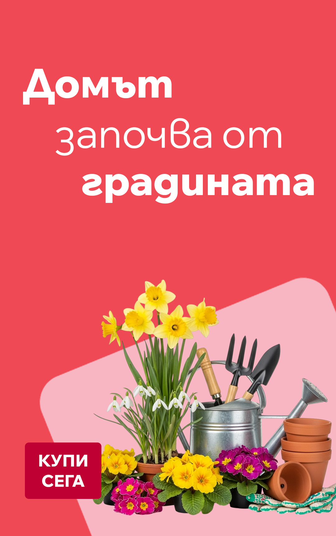 Предложения за градината на конкурентни цени